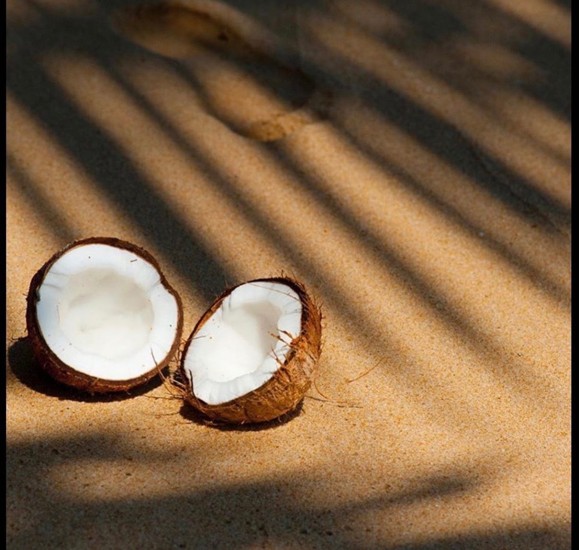 Dry Coconuts