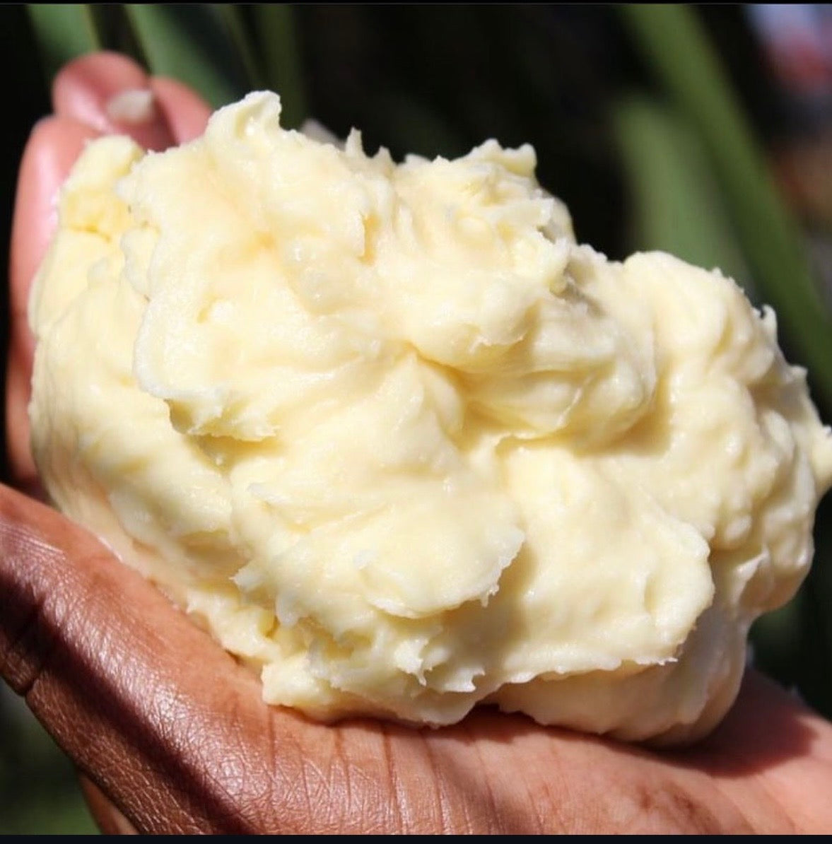 West African Shea Butter